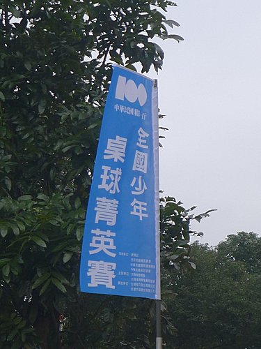 少年菁英
