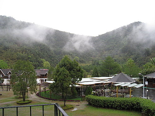 春雨九族