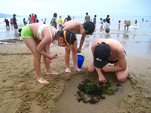 福隆海沙遊