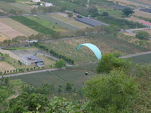返鄉飛傘