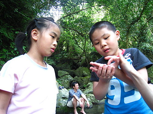 週日午後 去走走