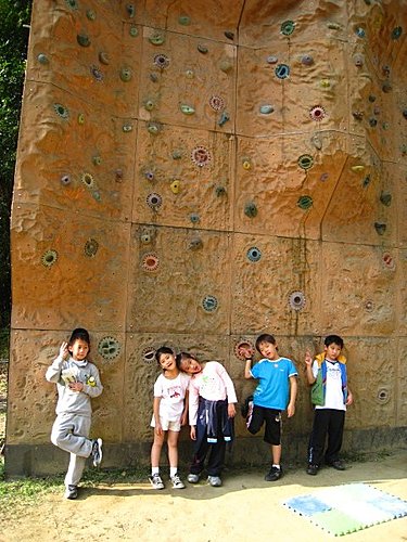 大板根森林闖關