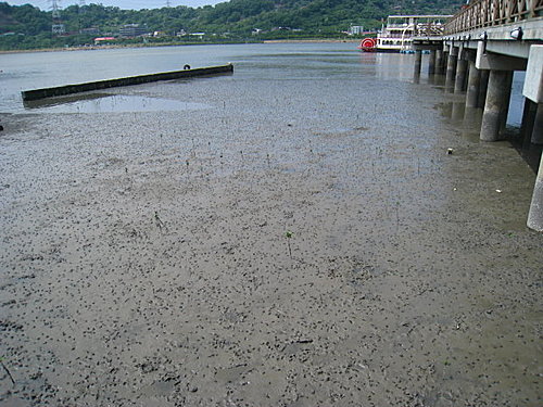 聽奧日記 0909 老外遊北海岸
