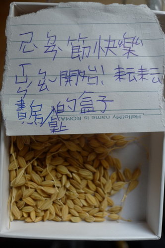 驚喜聖誕包