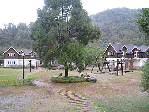 春雨九族