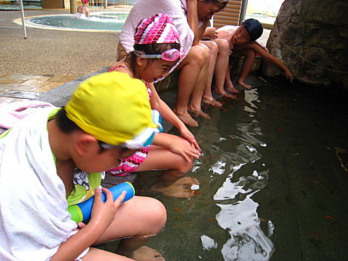 川湯的湯