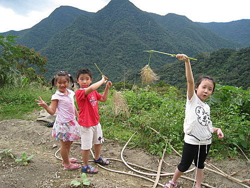 烏來高山青