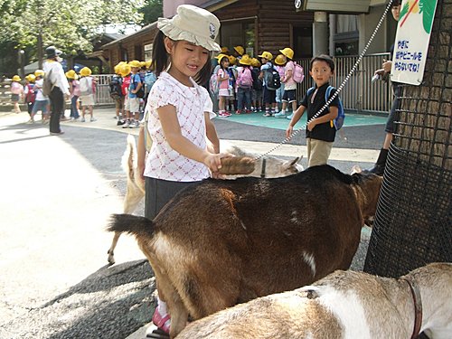 六歲的日本東北行