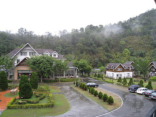 春雨九族