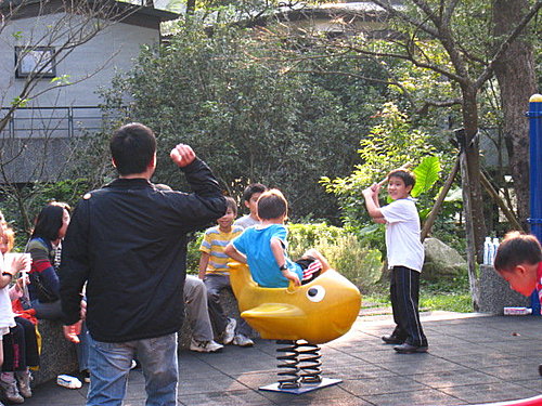 大板根森林闖關