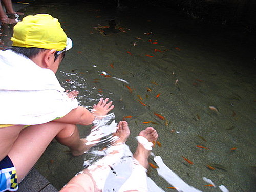 川湯的湯