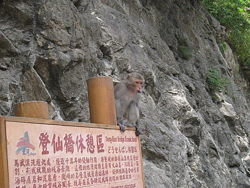 都蘭山林的農村體驗