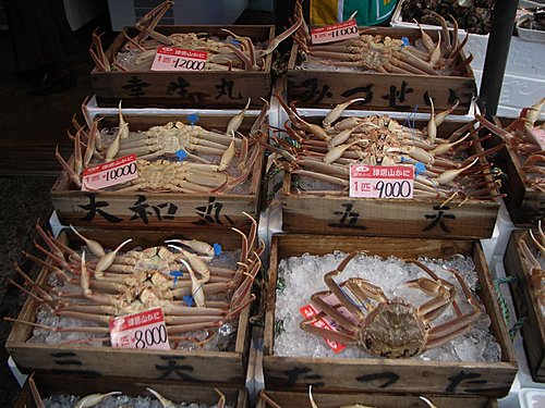 五歲的日本自助遊