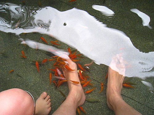 川湯的湯
