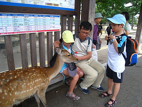 日本關西遠足記