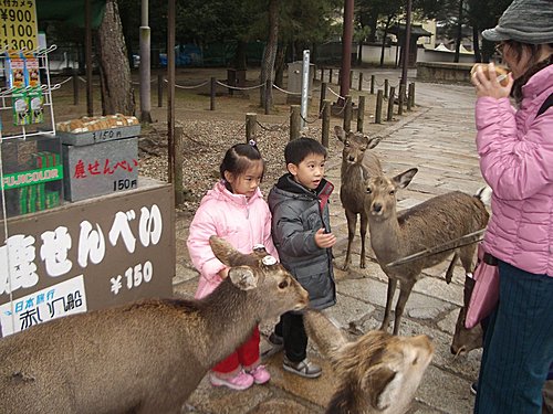 五歲的日本自助遊