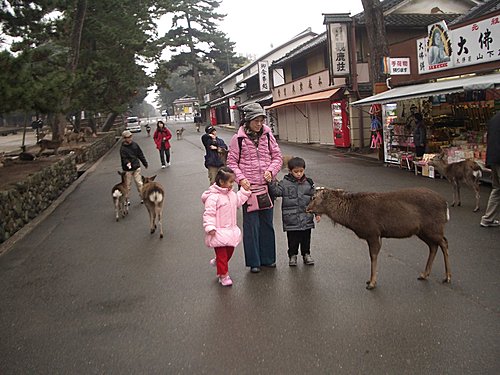 五歲的日本自助遊