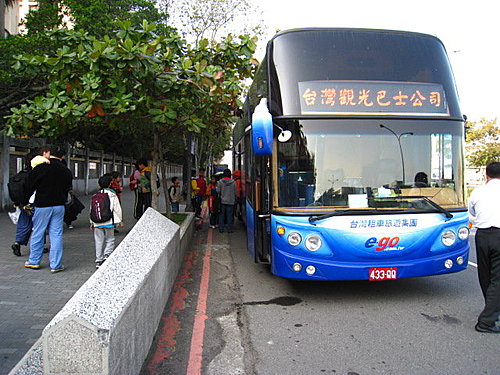 大板根森林闖關