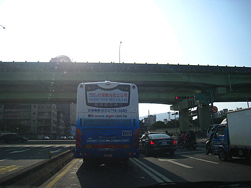 大板根森林闖關